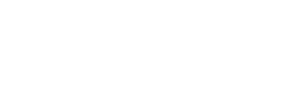 Advocaat Veronique Hooghe